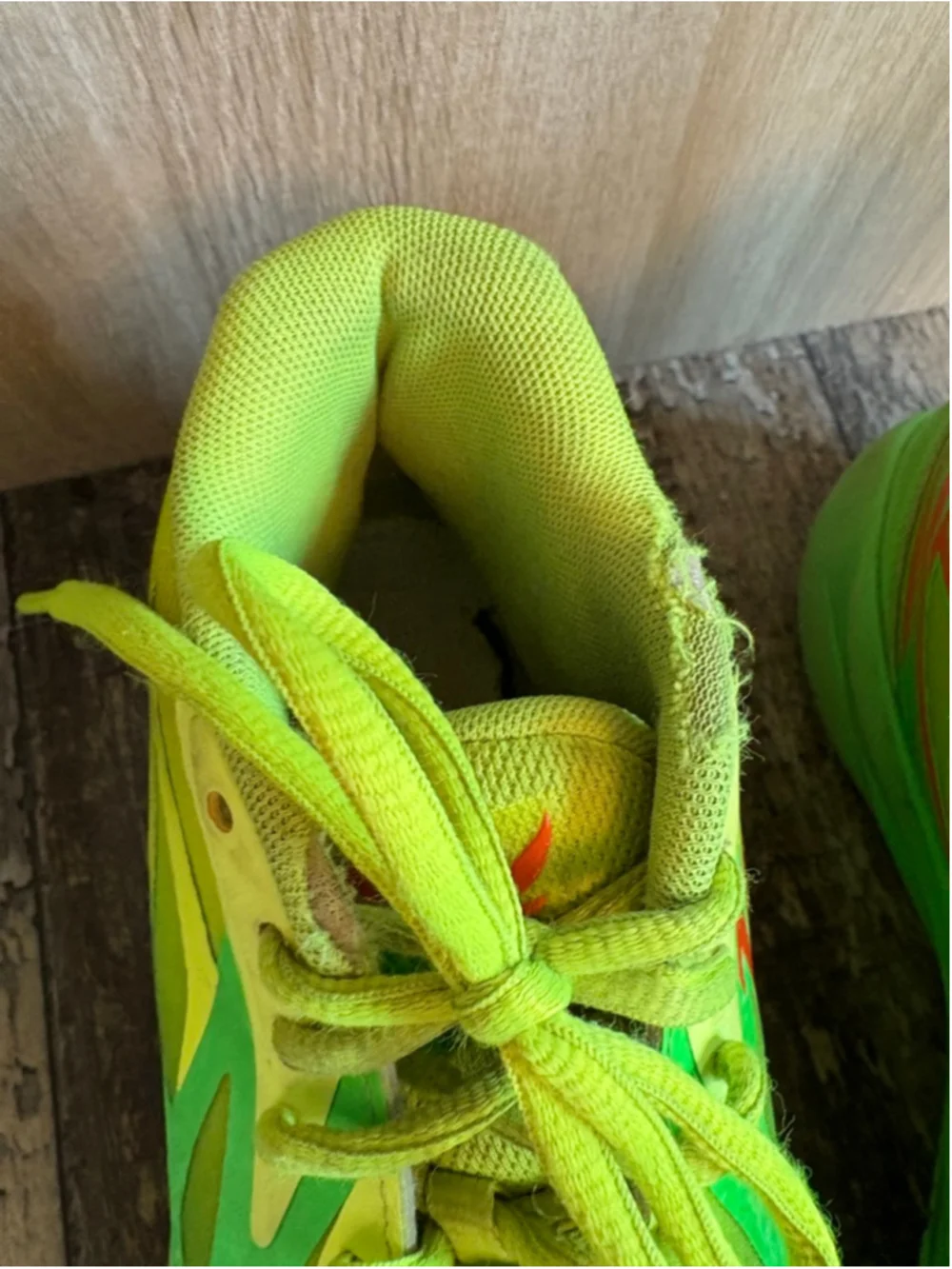 Puma bring bold